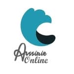 ASSINIE ONLINE (@assinieonline)