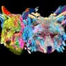 Band of Coyotes