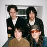 beach fossils