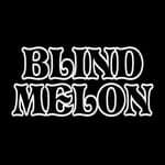 Blind Melon (@blindmelonband)
