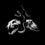 Chimaira (@chimairaband)