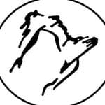 Dance Concept (@danceconcept)
