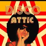 Disco Attic (@disco.attic)