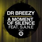 Dr Breezy (@drbreezy_music)