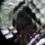 Fetus (@fetus_music)