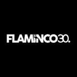 Flaminco30 (@flaminco30studio)