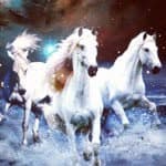 @horsemeatdisco
