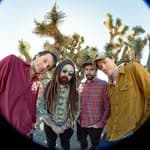 Kitchen Dwellers (@kitchendwellers)