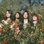 La Luz (@laluzband)