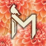 Maxfield (@maxfieldmusic_)