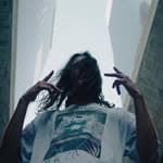 MEDUSO (@meduso_vibrations)