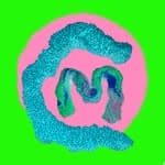 Mermaid Chunky (@mermaidchunky)