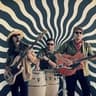 THE ANIMEROS