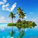 We Love Paradise (@weloveparadise)