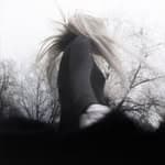 Wisp (@whirrwhoreforlyfe)