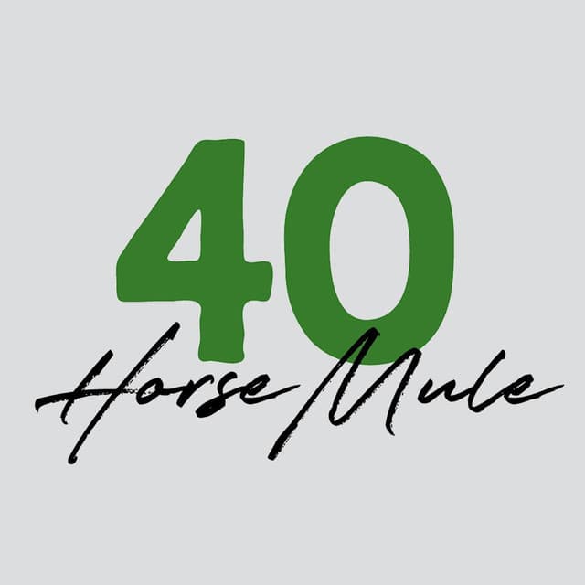 40 Horse Mule