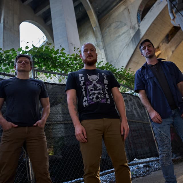 A Shrewdness of Apes