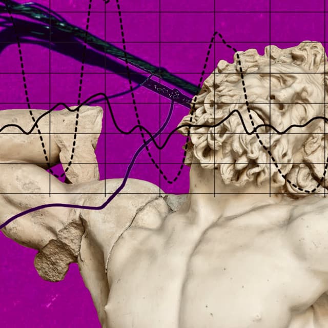 A Trillion Barnacle Lapse