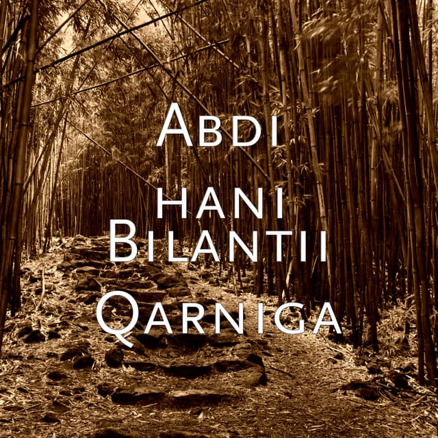 Abdi Hani