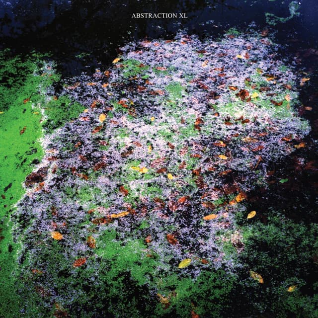 Abstraction XL