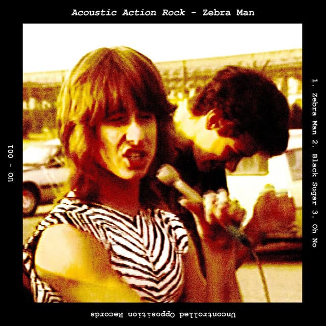 Acoustic Action Rock