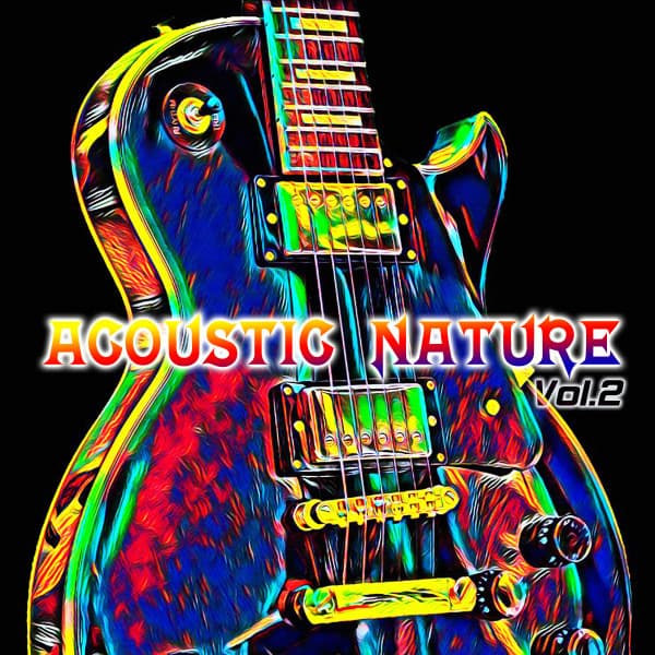 Acoustic Guitar