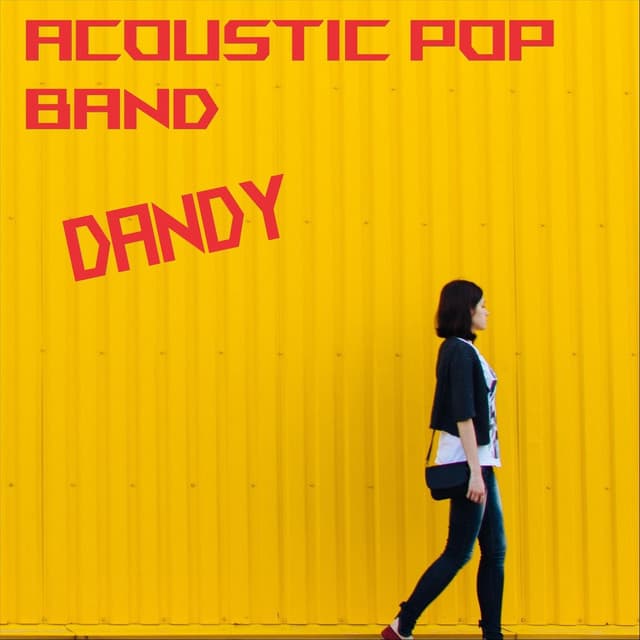 Acoustic Pop Band