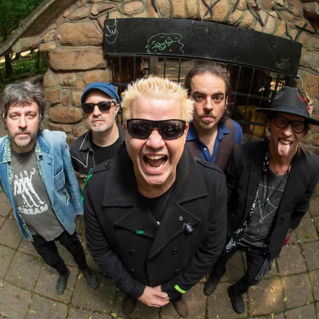 Acústicos & Valvulados