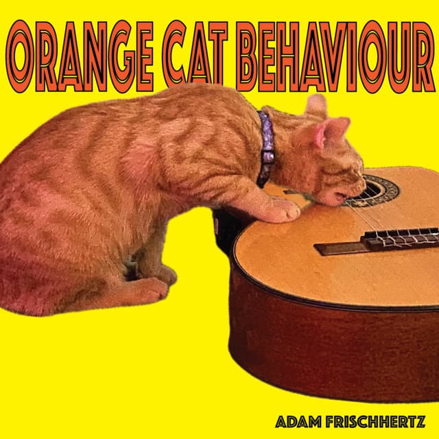 Adam Frischhertz