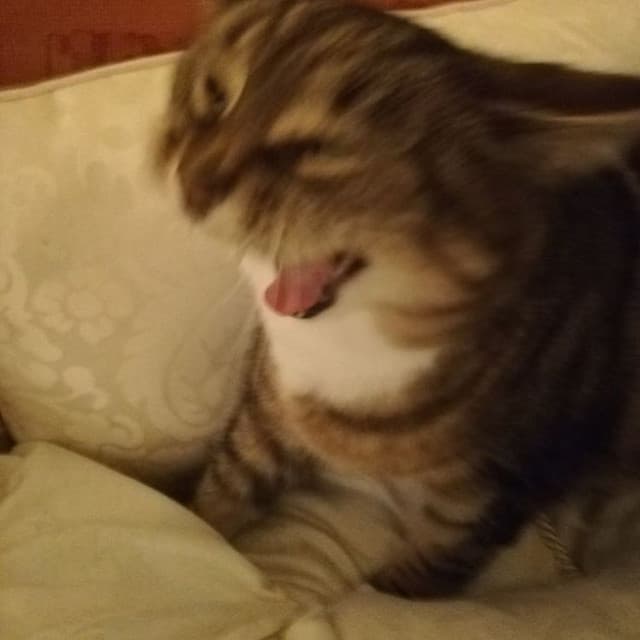 ADDNS