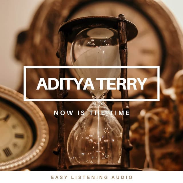 Aditya Terry