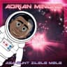 Adrian Minune