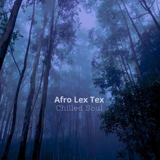 Afro Lex Tex