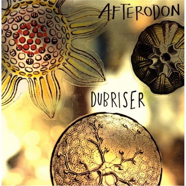 Afterodon