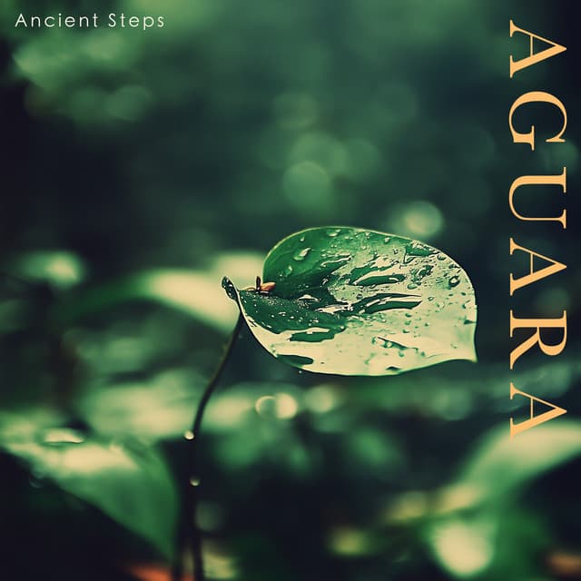 Aguara