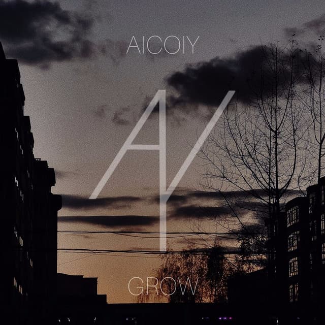 Aicoiy