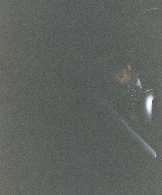 alan vuong
