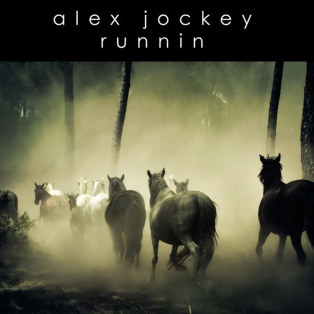 Alex Jockey