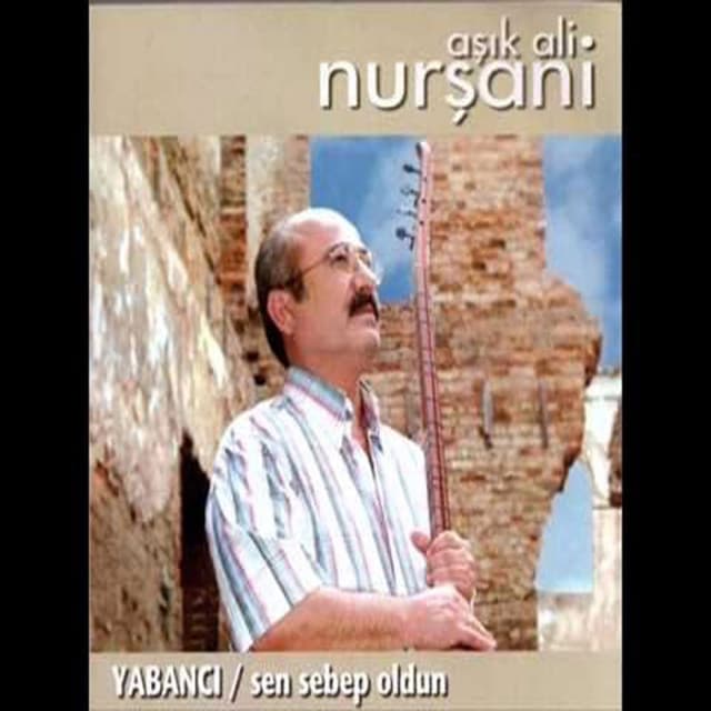 Ali Nursani