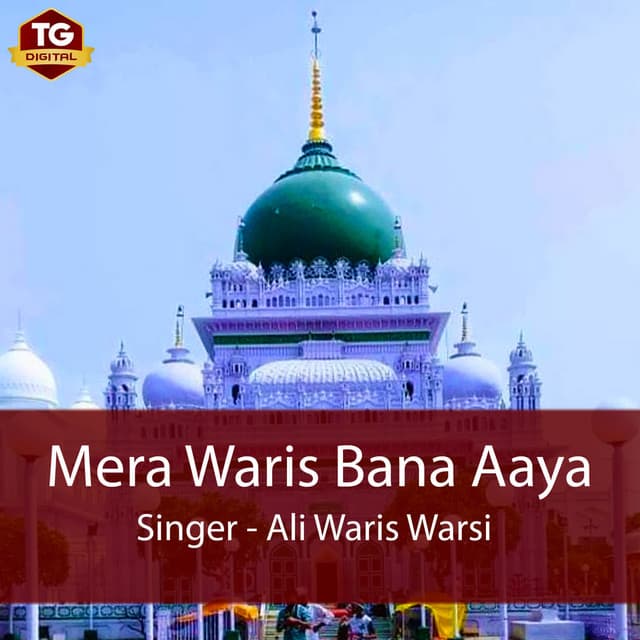 Ali Waris Warsi