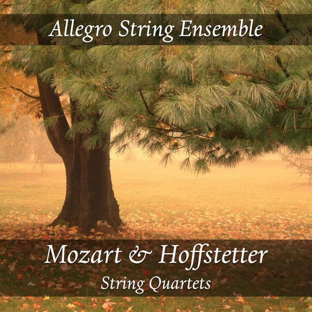Allegro String Ensemble