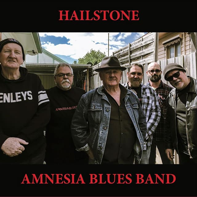 Amnesia Blues Band