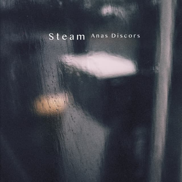 Anas discors