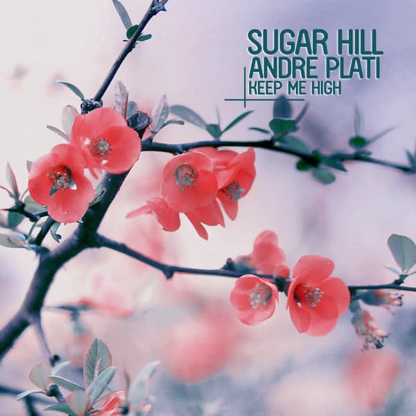 Andre Plati