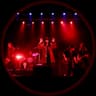 Ann Wilson