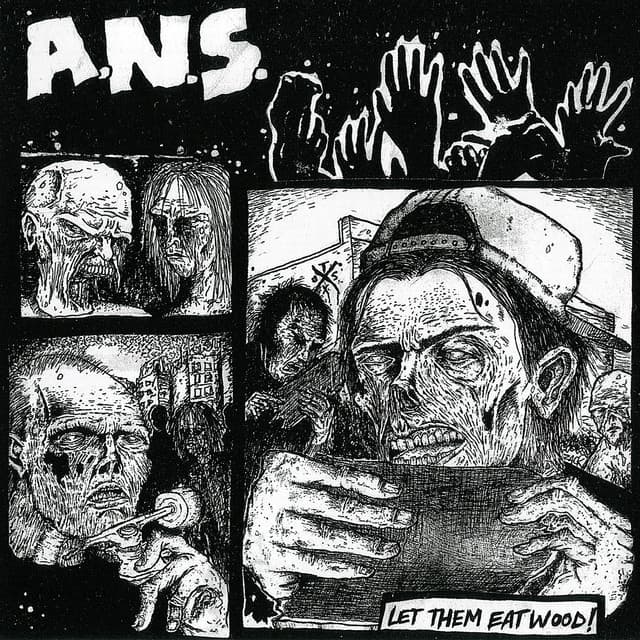 A.N.S.