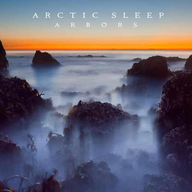 Arctic Sleep