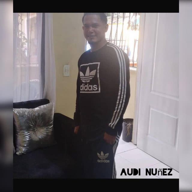 audi nuñez