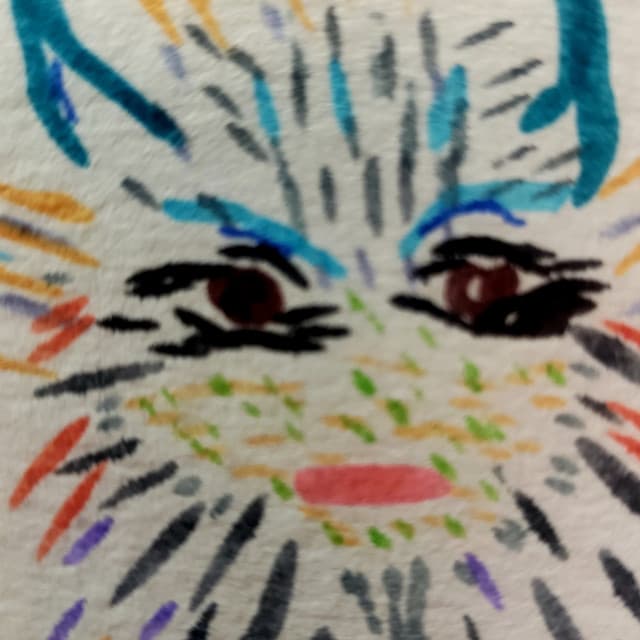 Austin Mayfield Project