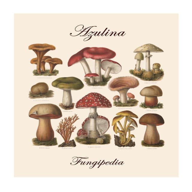 Azulina